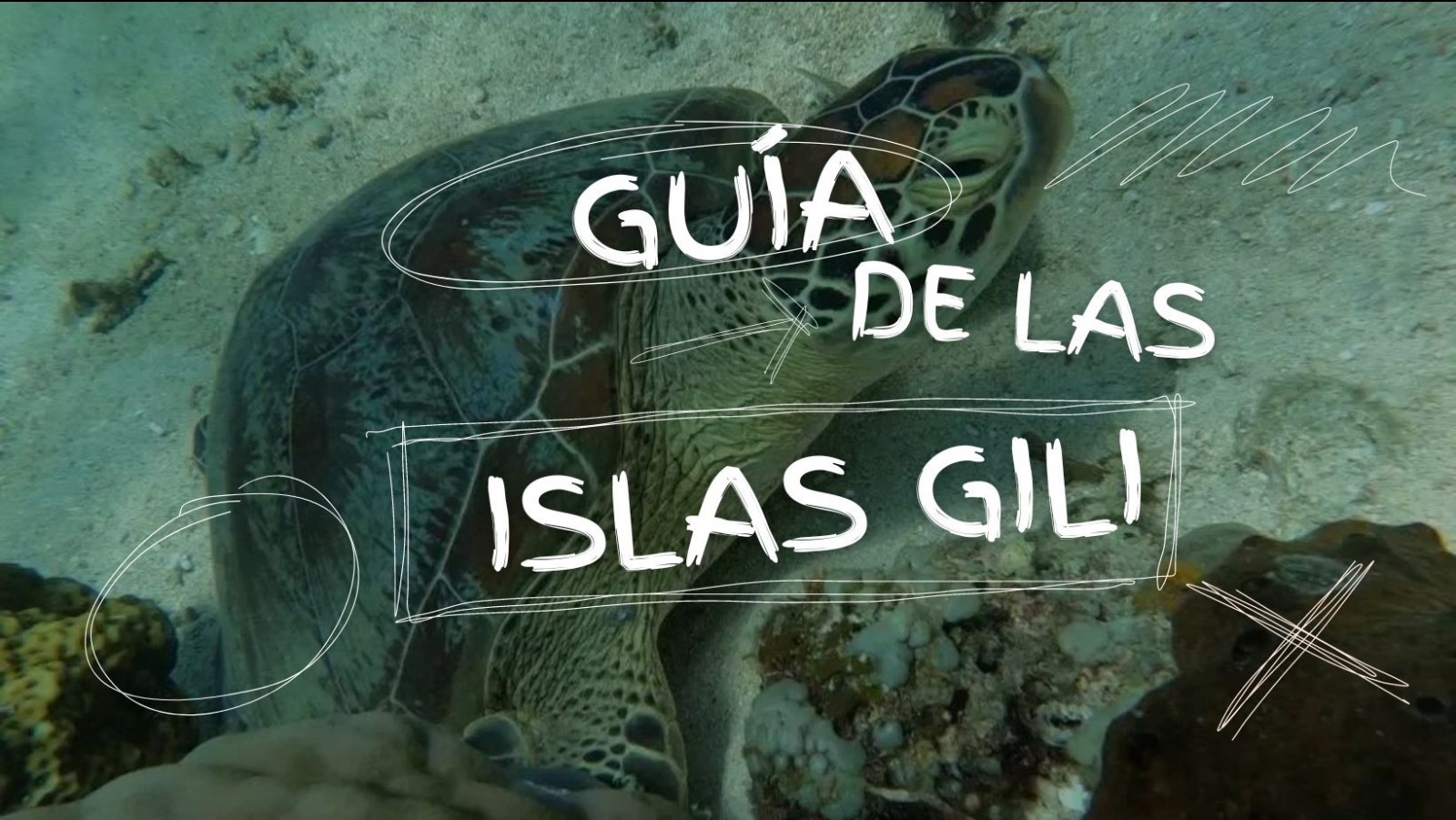 Guía de Islas Gili: Vida isleña, playas y ambiente cautivador