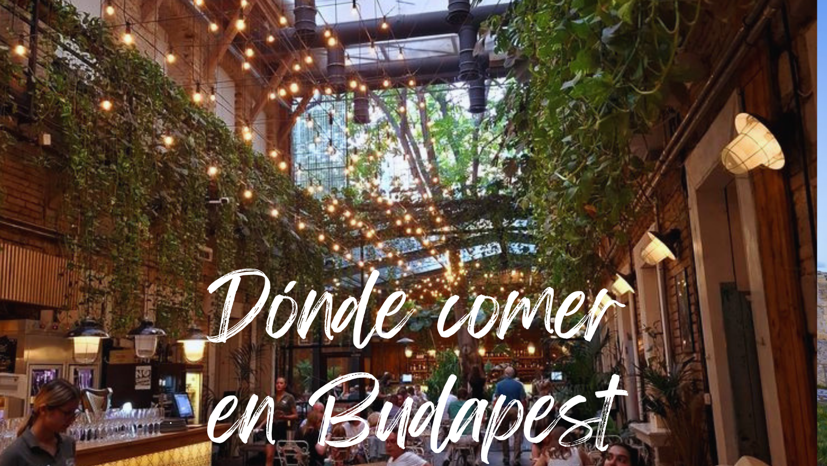 10 restaurantes dónde comer en Budapest